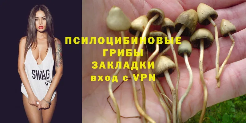 Псилоцибиновые грибы Magic Shrooms  Слюдянка 